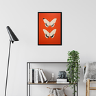 Framed butterfly art print on a wall above a bookshelf in a room.