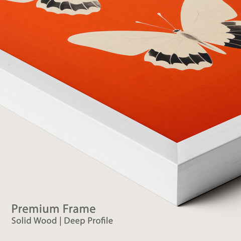 Framed butterfly artwork with a premium chalk wood frame.