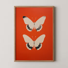 Framed art print with two butterflies on a red background