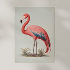 Illustration of a pink flamingo Art Print.