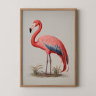 Framed Art Print of a pink flamingo on grey background.
