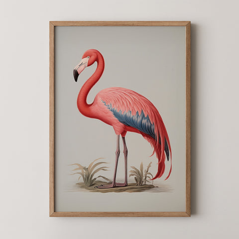 Framed Art Print of a pink flamingo on grey background.