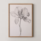 Framed art print of a monochrome flower.
